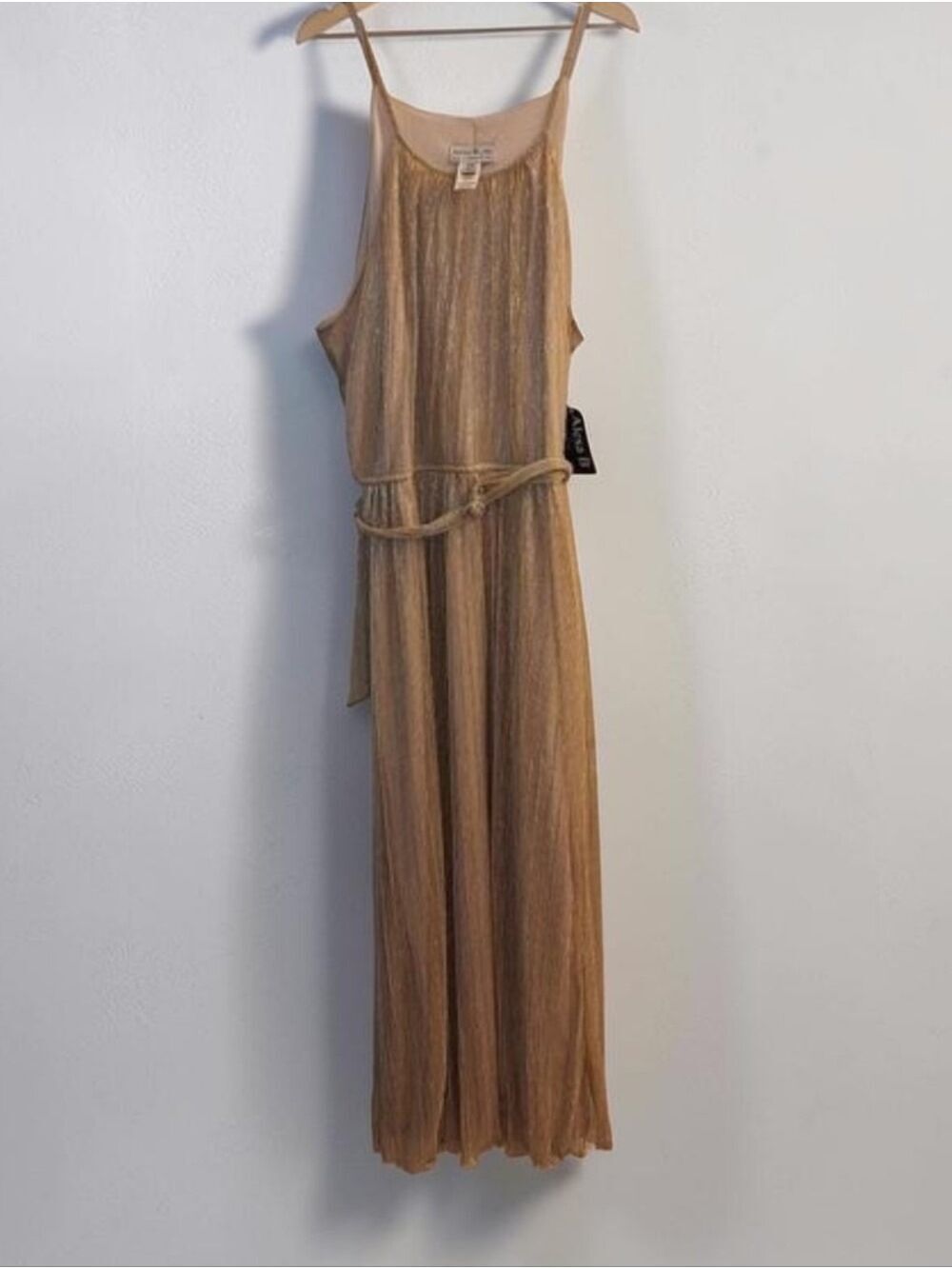 Alexa B Nites Maxi Dress Gold Glitter Spaghetti Strap 16W
